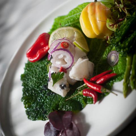 Our food designs